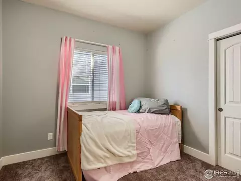868 Cliffrose Way, Severance, CO 80550 photo 21