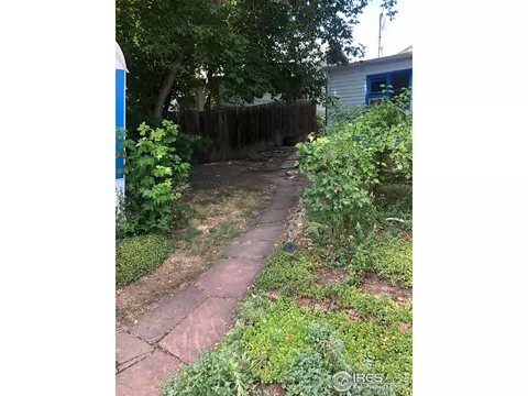317 Evans St, Lyons, CO 80540 photo 20