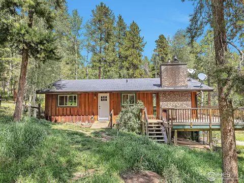 228 Evergreen Way, Nederland, CO 80466