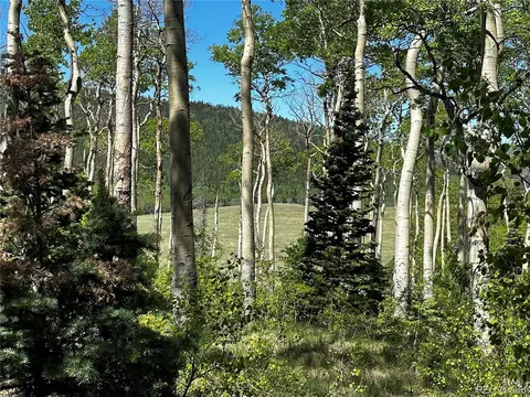 2506 Petito Dr, Fort Garland, CO 81133