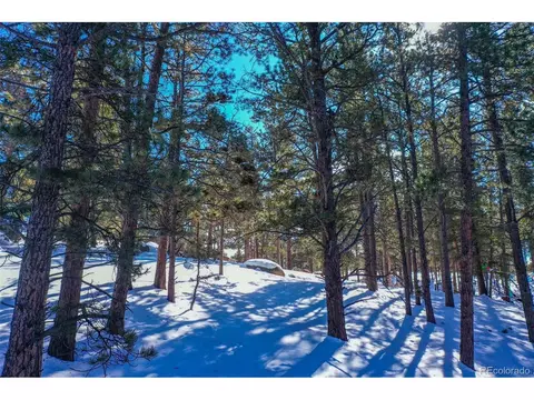 148 Rhyolite Ln, Florissant, CO 80816