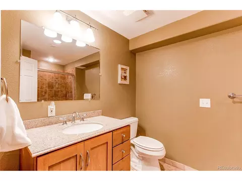 7550 Bantry Ct, Lone Tree, CO 80124 photo 36