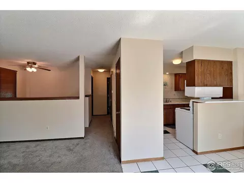 3504 Marigold St, Evans, CO 80620 photo 16