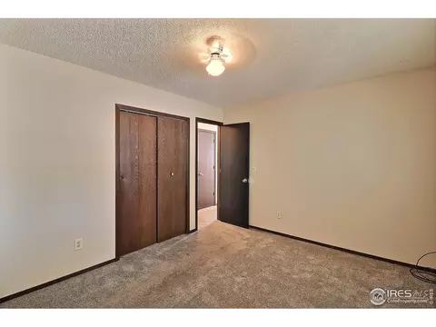 3504 Marigold St, Evans, CO 80620 photo 18