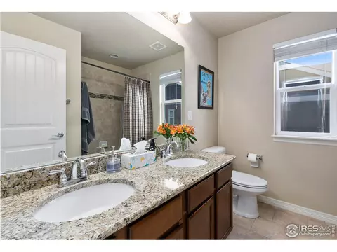 1806 Avery Plaza St, Severance, CO 80550 photo 24