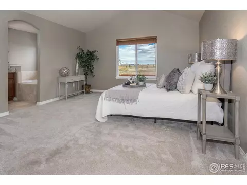 1806 Avery Plaza St, Severance, CO 80550 photo 17