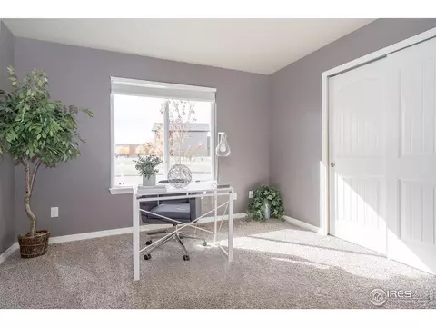 1806 Avery Plaza St, Severance, CO 80550 photo 15