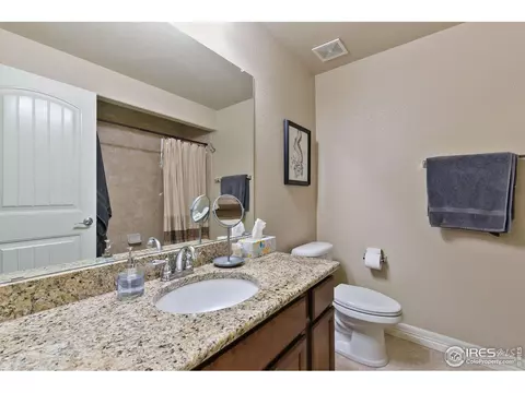 1806 Avery Plaza St, Severance, CO 80550 photo 29