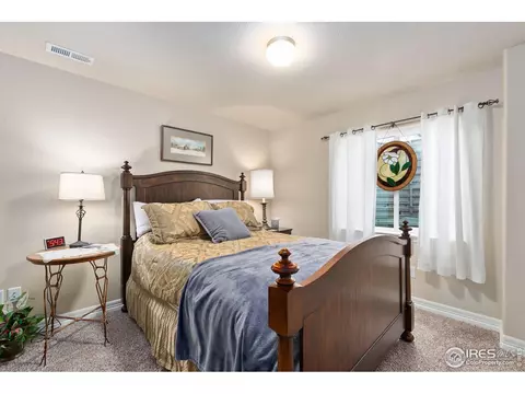 1806 Avery Plaza St, Severance, CO 80550 photo 27
