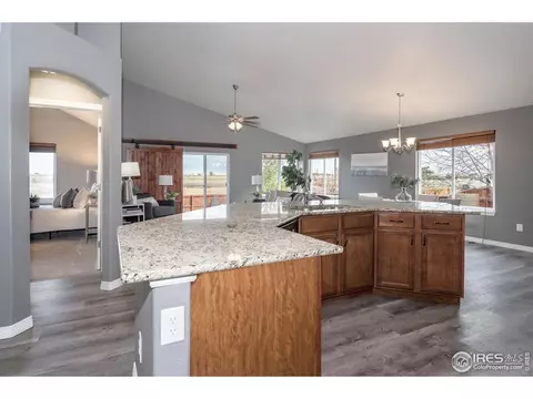 1806 Avery Plaza St, Severance, CO 80550 photo 13