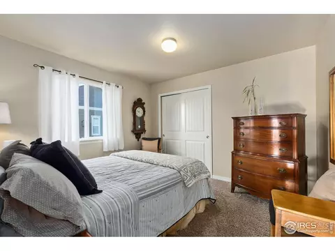 1806 Avery Plaza St, Severance, CO 80550 photo 23