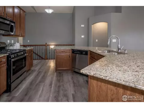 1806 Avery Plaza St, Severance, CO 80550 photo 12