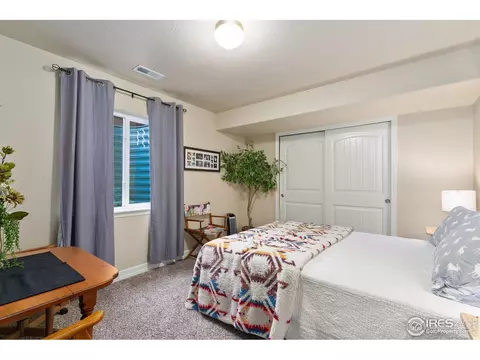 1806 Avery Plaza St, Severance, CO 80550 photo 28