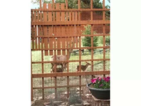 563 Old Corral Rd, Bailey, CO 80421 photo 10