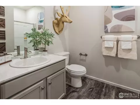 2296 Setting Sun Dr #1, Windsor, CO 80550 photo 24