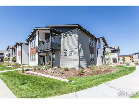 2296 Setting Sun Dr #1, Windsor, CO 80550 photo 4
