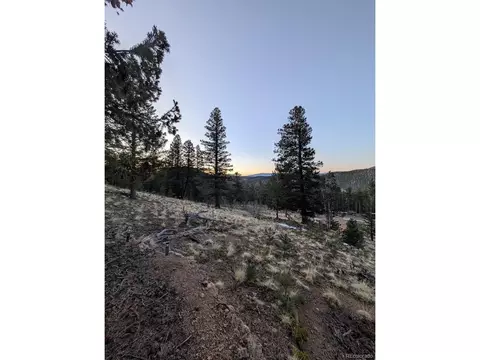 288 Hayes St, Bailey, CO 80421 photo 5