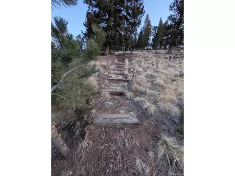 288 Hayes St, Bailey, CO 80421 photo 4