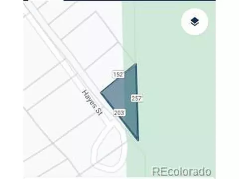 288 Hayes St, Bailey, CO 80421 photo 3