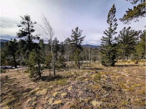288 Hayes St, Bailey, CO 80421
