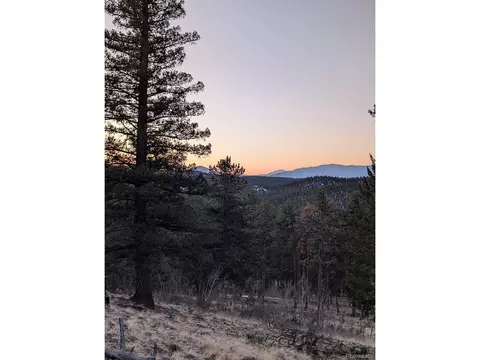 288 Hayes St, Bailey, CO 80421 photo 10