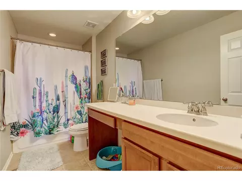 20709 E Brunswick Pl, Aurora, CO 80013 photo 33