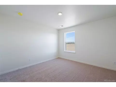 5980 Holstein Dr, Windsor, CO 80528 photo 29