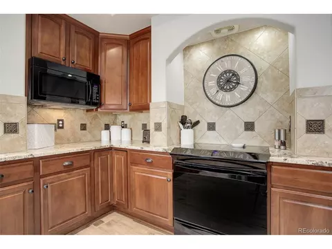 20103 E 55th Pl, Denver, CO 80249 photo 15