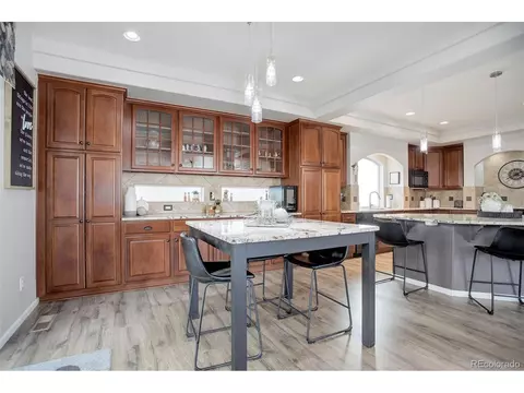 20103 E 55th Pl, Denver, CO 80249 photo 9