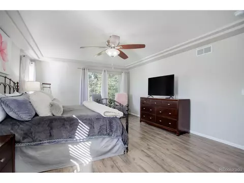 20103 E 55th Pl, Denver, CO 80249 photo 21