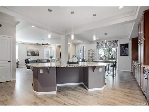 20103 E 55th Pl, Denver, CO 80249 photo 13