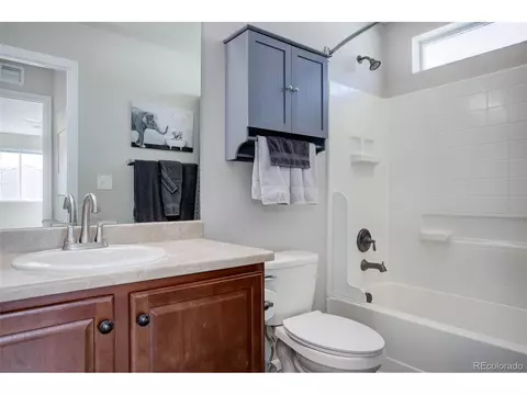 20103 E 55th Pl, Denver, CO 80249 photo 27