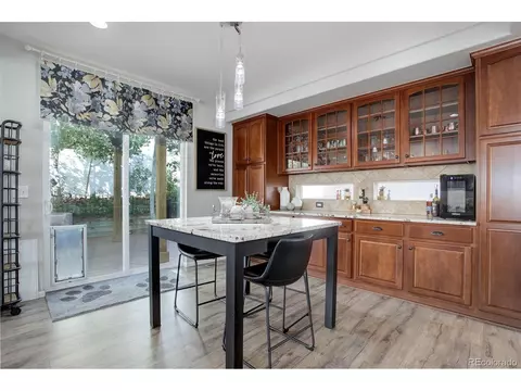 20103 E 55th Pl, Denver, CO 80249 photo 10