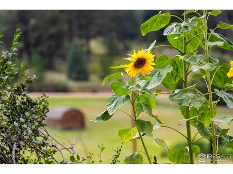 127 Button Rock Rd, Lyons, CO 80540 photo 35