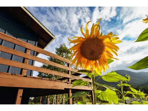 127 Button Rock Rd, Lyons, CO 80540 photo 30