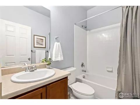 5846 Graphite St, Timnath, CO 80547 photo 22
