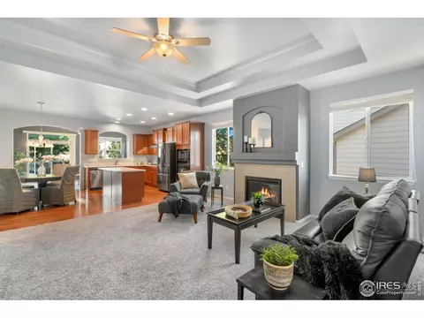 5846 Graphite St, Timnath, CO 80547 photo 5