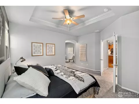 5846 Graphite St, Timnath, CO 80547 photo 20