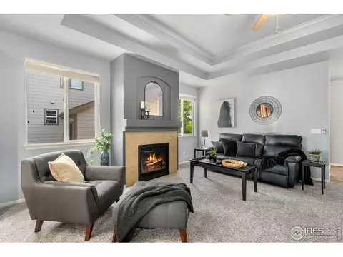 5846 Graphite St, Timnath, CO 80547 photo 8