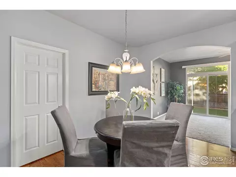 5846 Graphite St, Timnath, CO 80547 photo 10