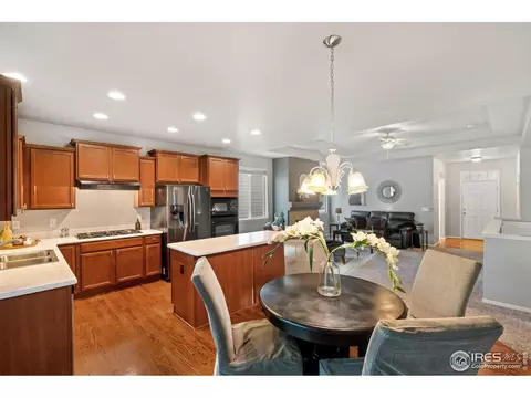 5846 Graphite St, Timnath, CO 80547 photo 9