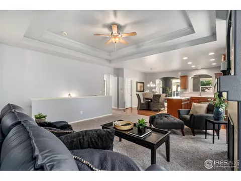5846 Graphite St, Timnath, CO 80547 photo 7