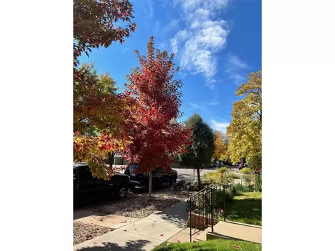 513 E 1st Ave, Denver, CO 80203 photo 40