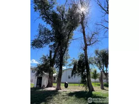 323 Ute Ave, Simla, CO 80835 photo 22