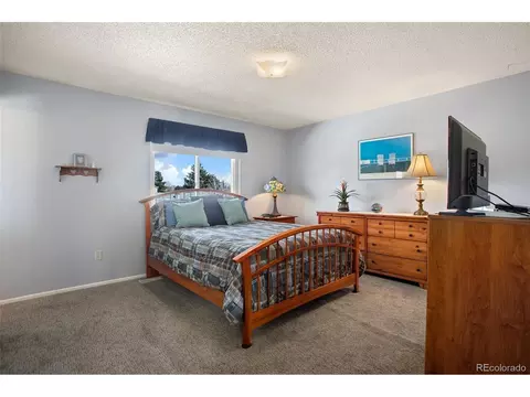 4666 E 115th Ct, Thornton, CO 80233 photo 18