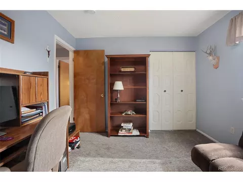 4666 E 115th Ct, Thornton, CO 80233 photo 23