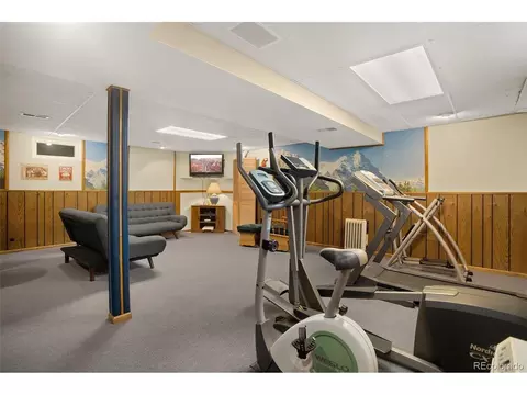 4666 E 115th Ct, Thornton, CO 80233 photo 31