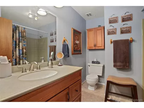 4666 E 115th Ct, Thornton, CO 80233 photo 26