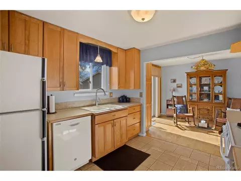 4666 E 115th Ct, Thornton, CO 80233 photo 10