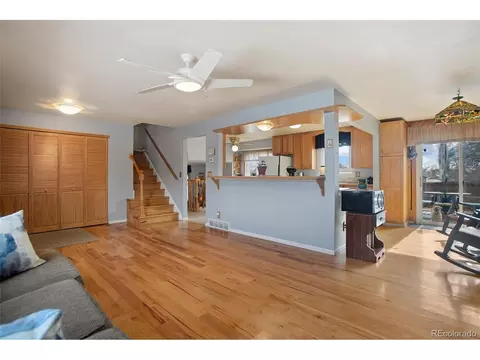 4666 E 115th Ct, Thornton, CO 80233 photo 5